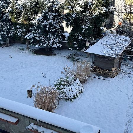 Ferienwohnung Dieblich An Der Mosel Esterno foto