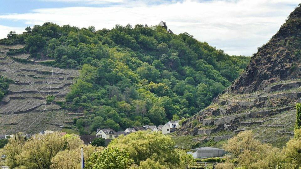 Ferienwohnung Dieblich An Der Mosel Esterno foto