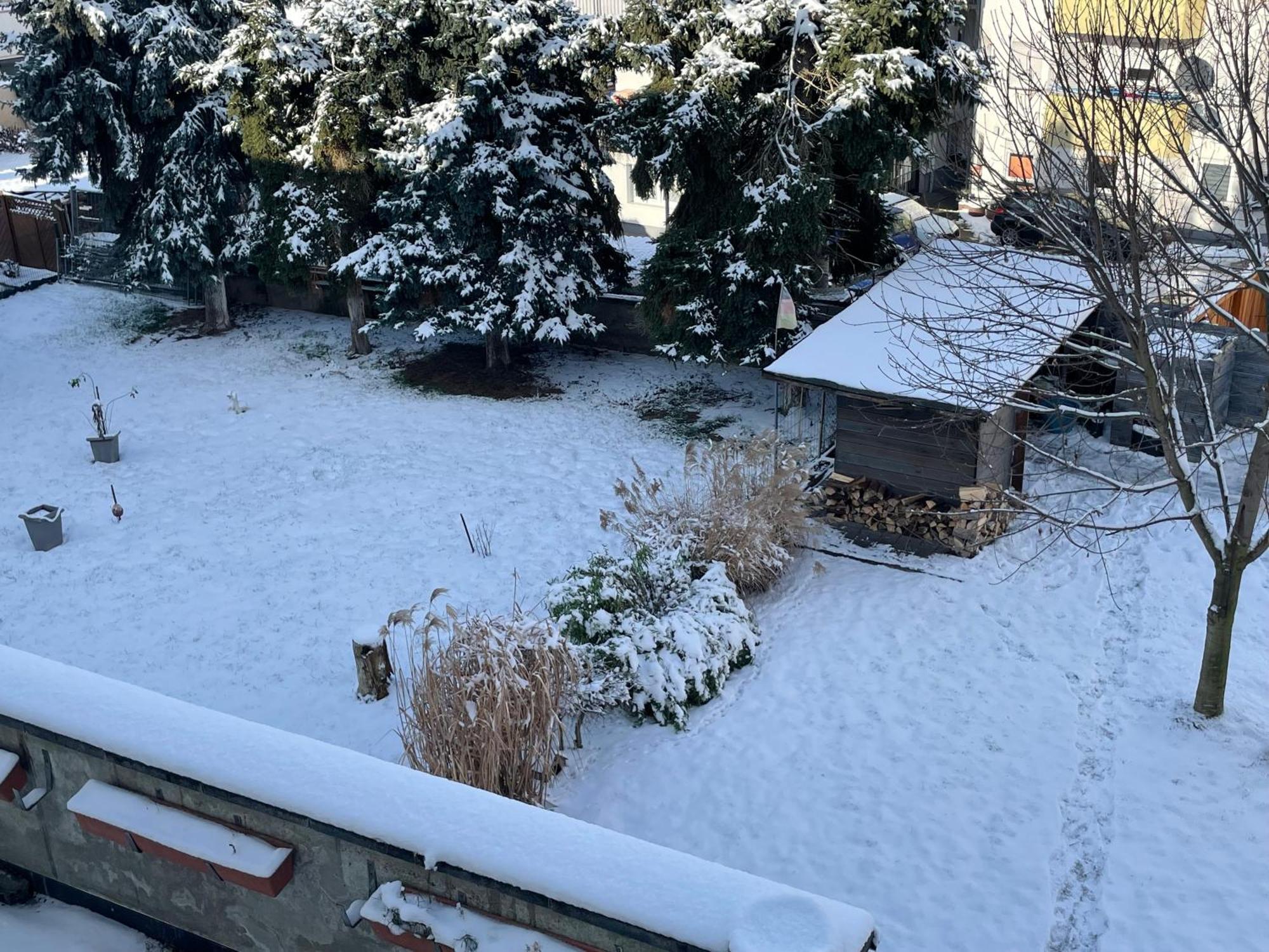 Ferienwohnung Dieblich An Der Mosel Esterno foto